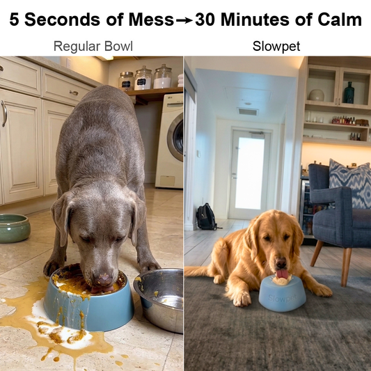 Slowpet™ Lick Bowl